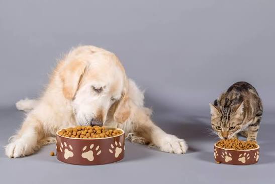 ALIMENTOS PARA MASCOTAS